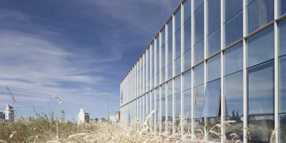 Palacio Lezama (Ex Fábrica de Bizcochos Canale) - Foto 4