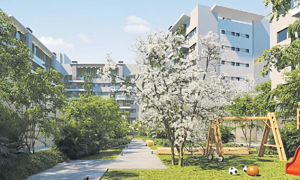 Milaires - Foto 3