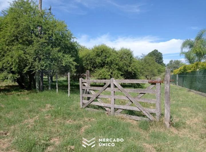La Justicia ordenó al municipio de Colón reparar un camino rural tras nueve años de litigio