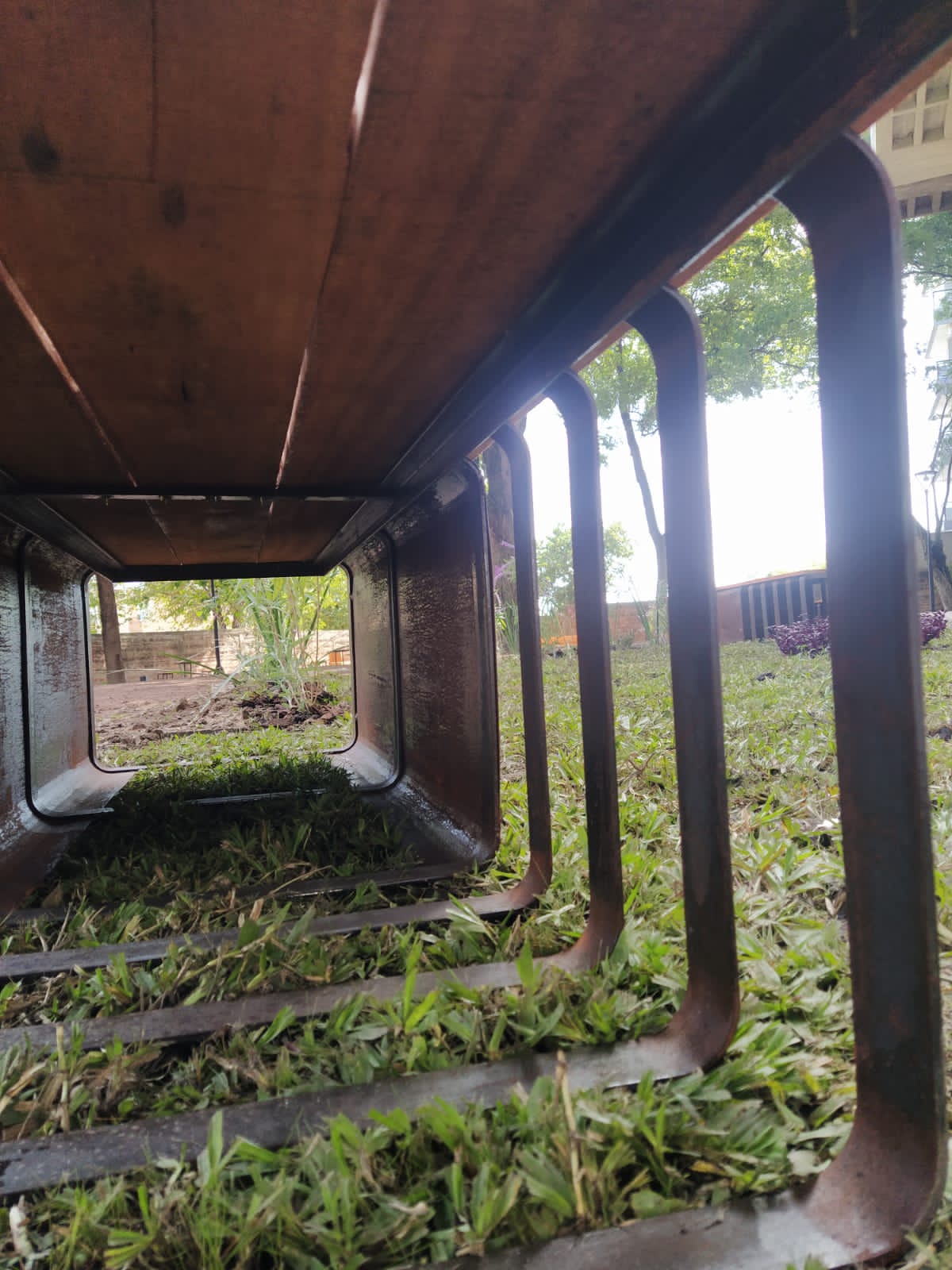 Grafito Arquitectura: Innovación y Versatilidad en el Diseño de Espacios Interiores y Exteriores
