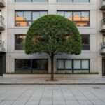 Construcción que se ensambla: La mirada al futuro de tu hogar