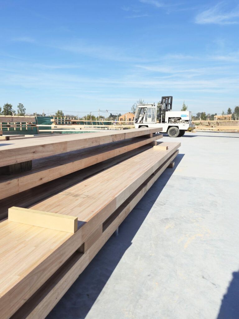 Copia de 20250811_151138 copia