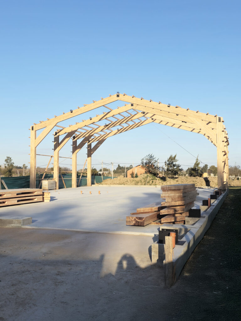 Copia de 20250815_171508 copia