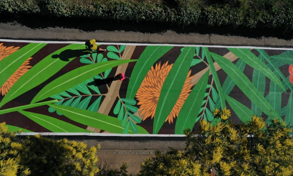 Un oasis en la ciudad: Parque Metropolitano de Santiago, un pulmón verde para la capital chilena