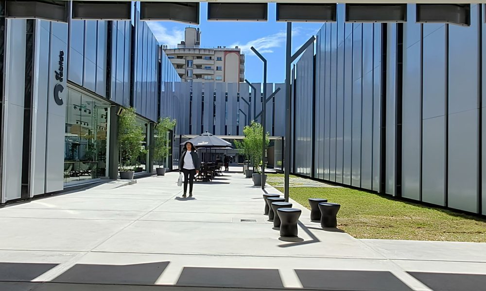 El Cabildo de San Salvador de Jujuy: un proyecto para rescatar la memoria y la historia