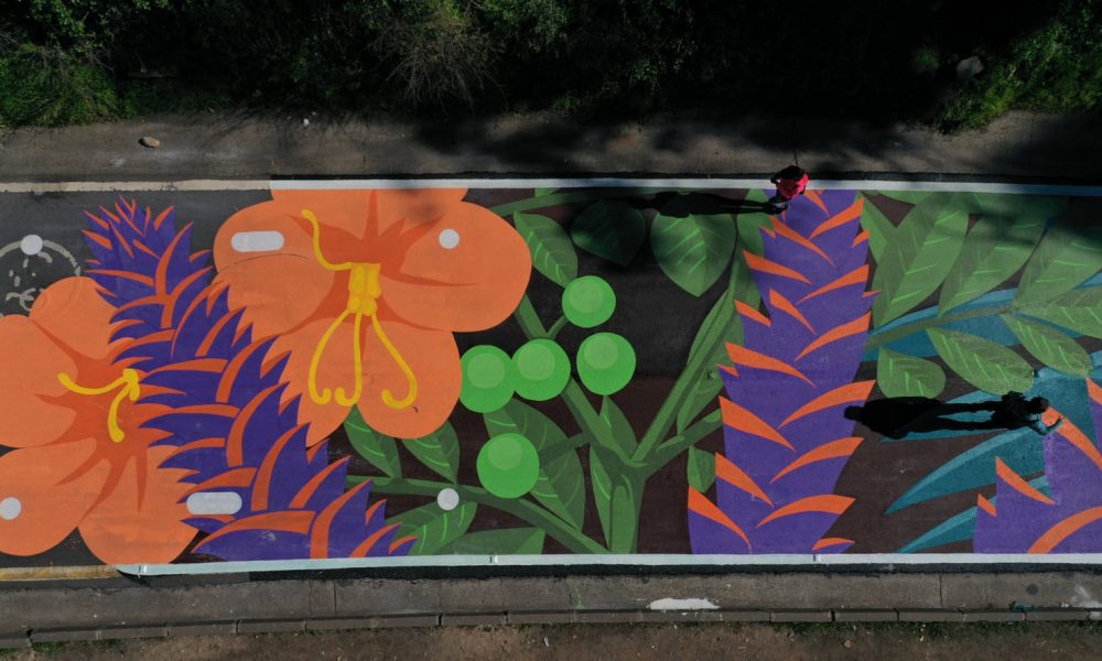 Un oasis en la ciudad: Parque Metropolitano de Santiago, un pulmón verde para la capital chilena