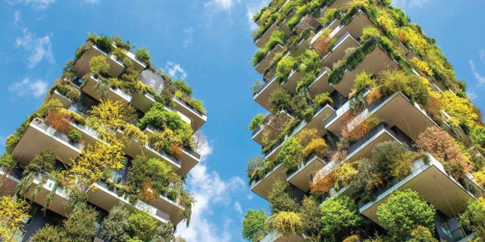 La Arquitectura Biofílica: Un Enfoque Sostenible que Conecta con la Naturaleza