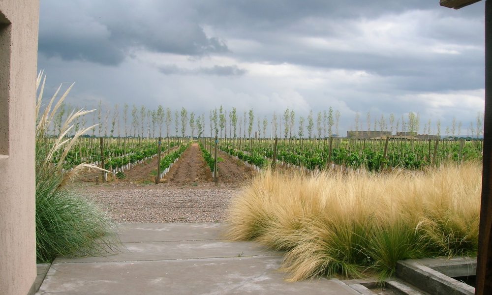 Estudio Paisajismo: Trayectoria y Excelencia en el Diseño de Espacios Verdes