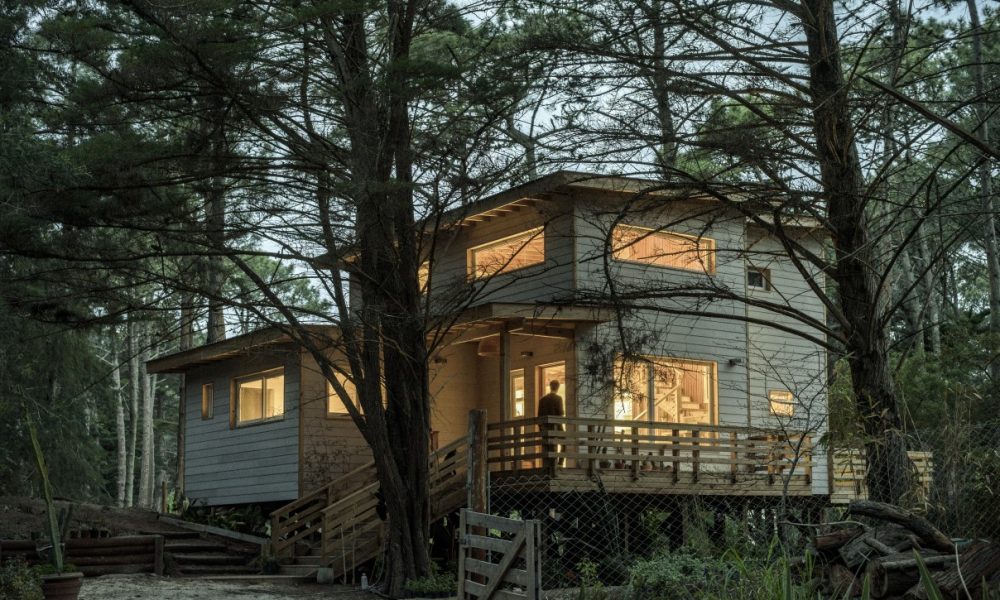La Armonía entre Naturaleza y Arquitectura: Proyectos que Fusionan Espacios y Entornos en Buenos Aires