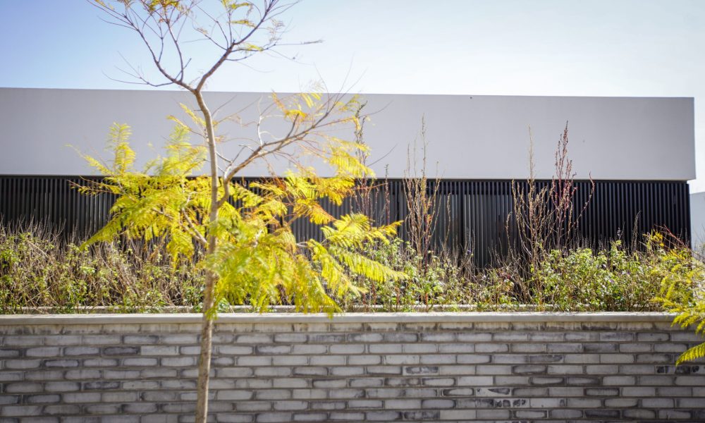 Casa Antón: un prisma de luz y sombra en City Bell